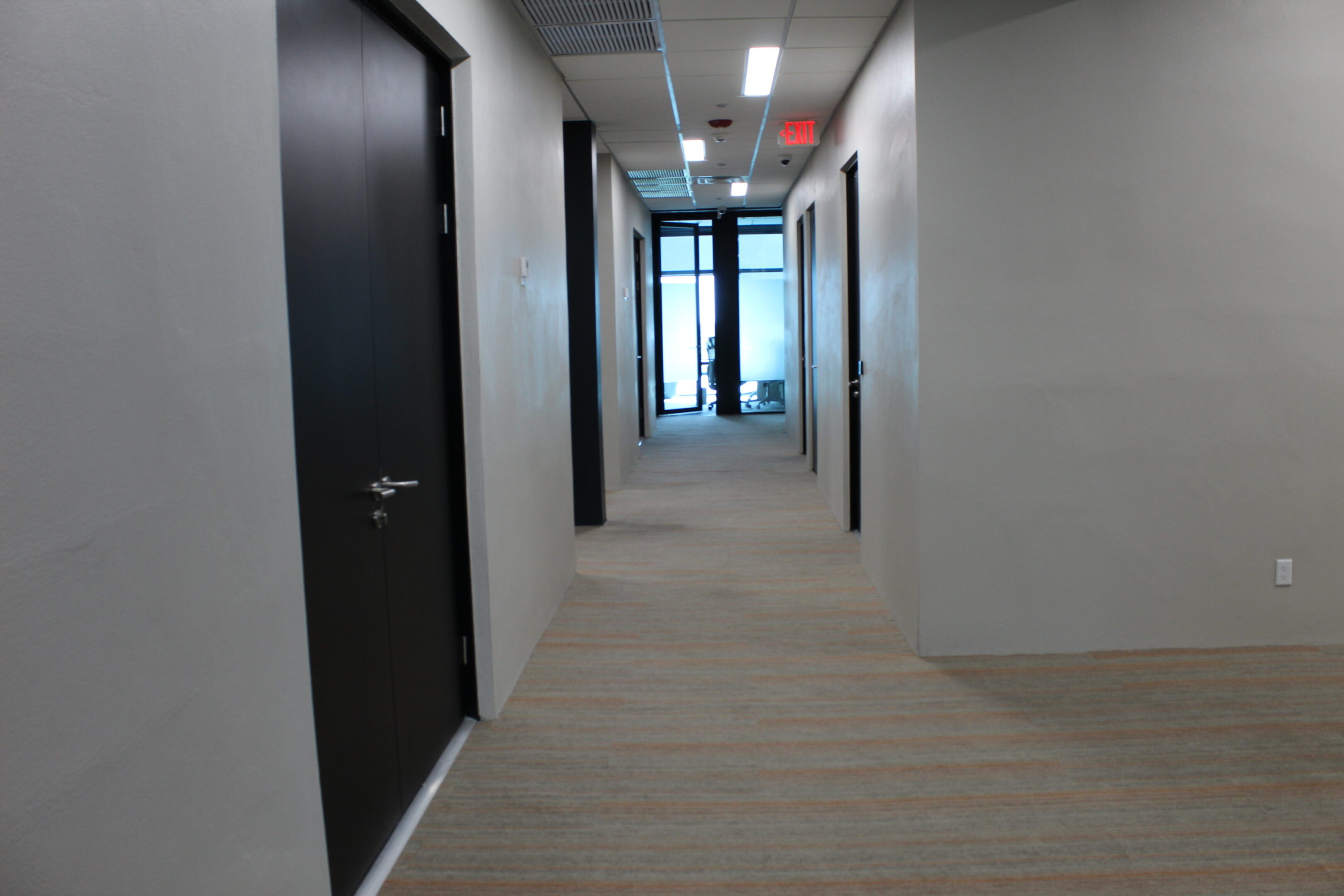 Modern office hallway with black doors and carpeted floor.