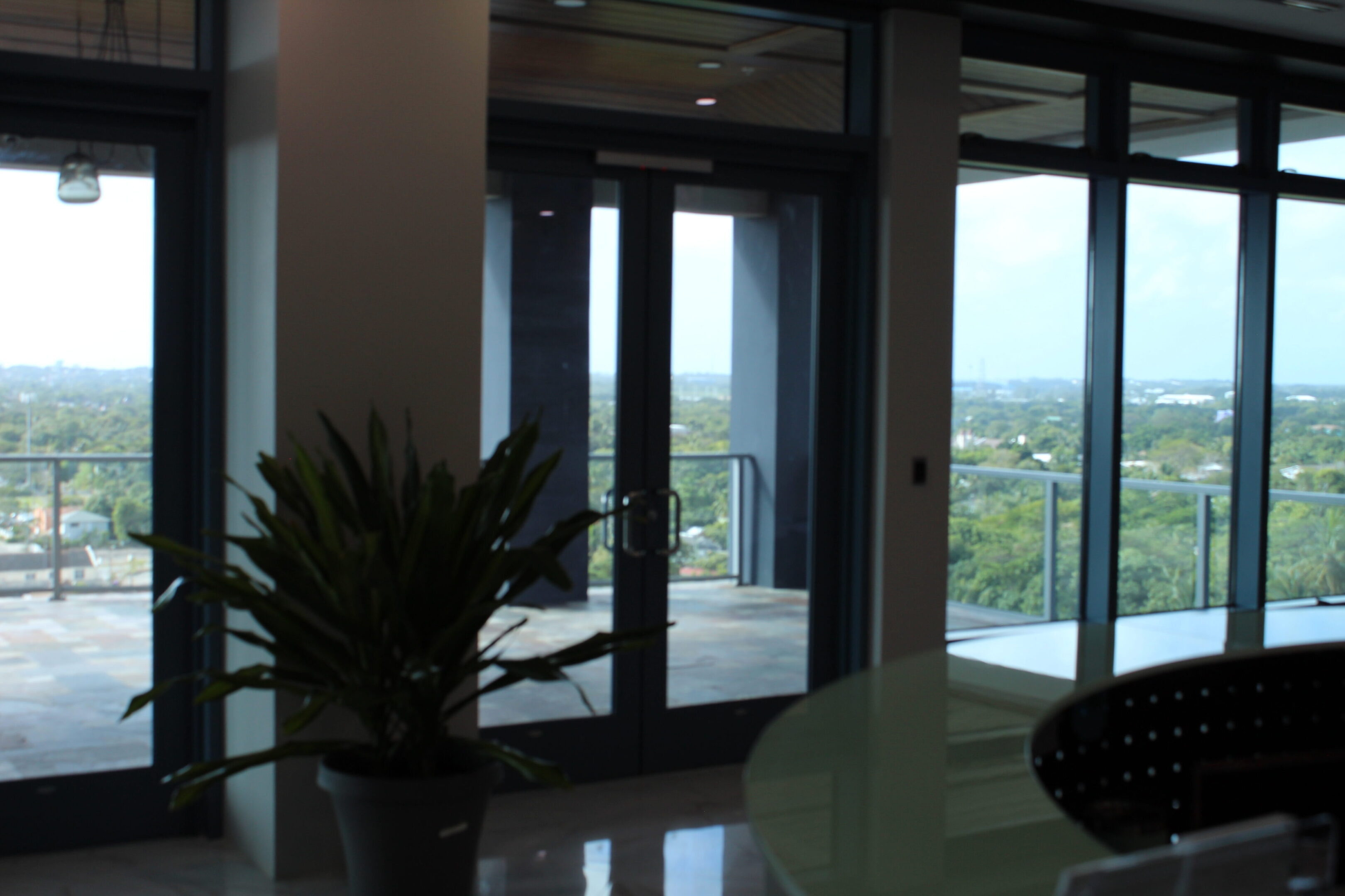 Modern glass doors opening to a scenic balcony with a plant indoors.