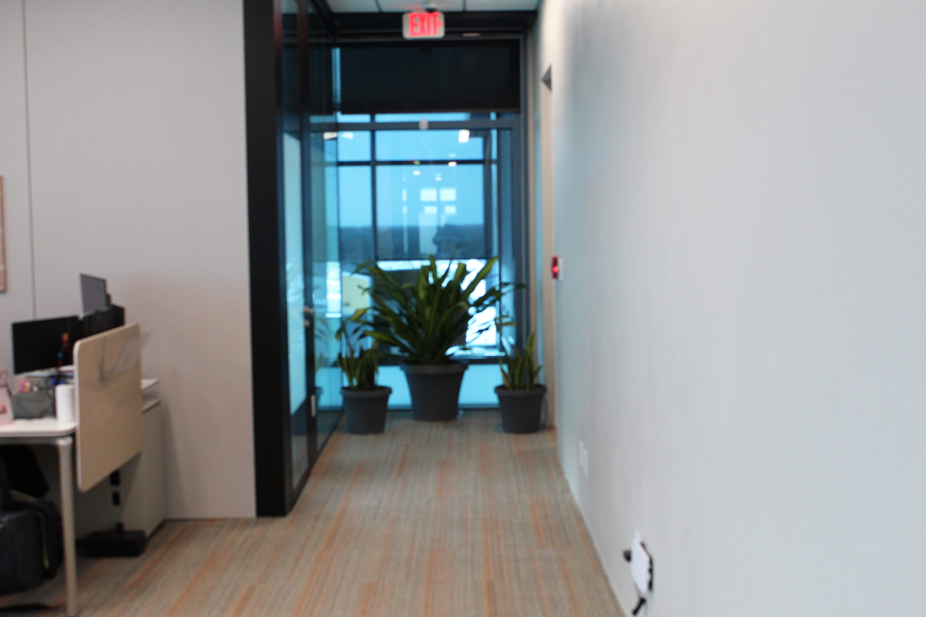 Office hallway with plants near a glass door.