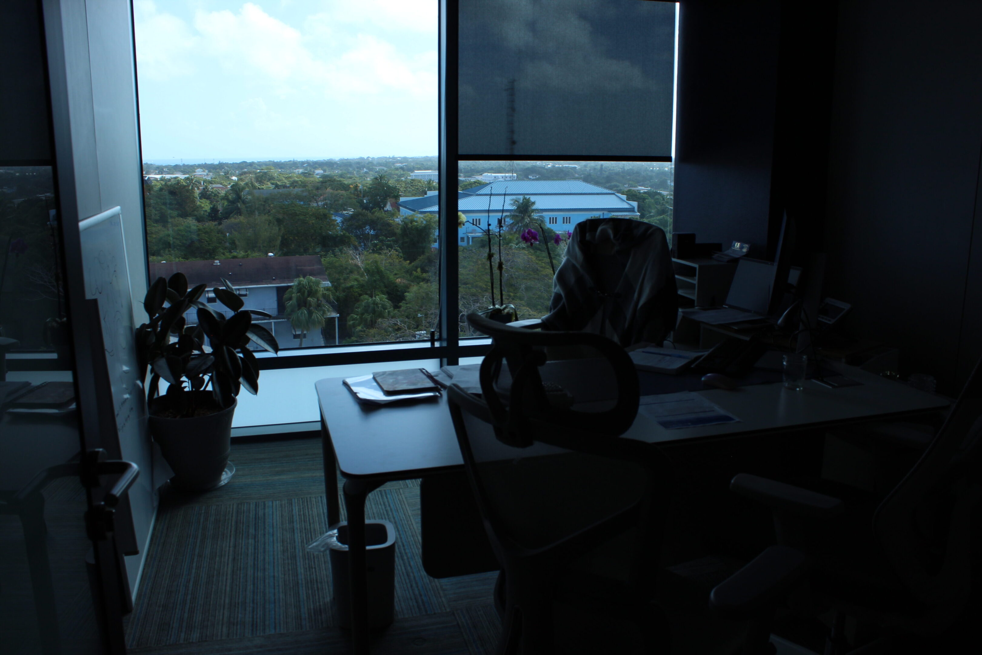 Office workspace with a view of a pool and greenery outside the window.